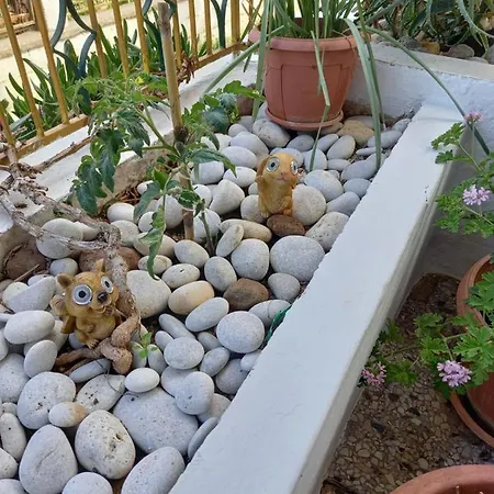 Alexandros Cosy House For Family Vacation * Chania (Crete)